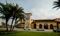 Tigers - Lakeland FL