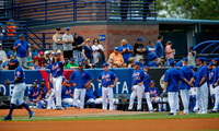 Mets Port St Lucie