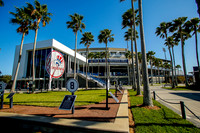 Yankees Tampa FL